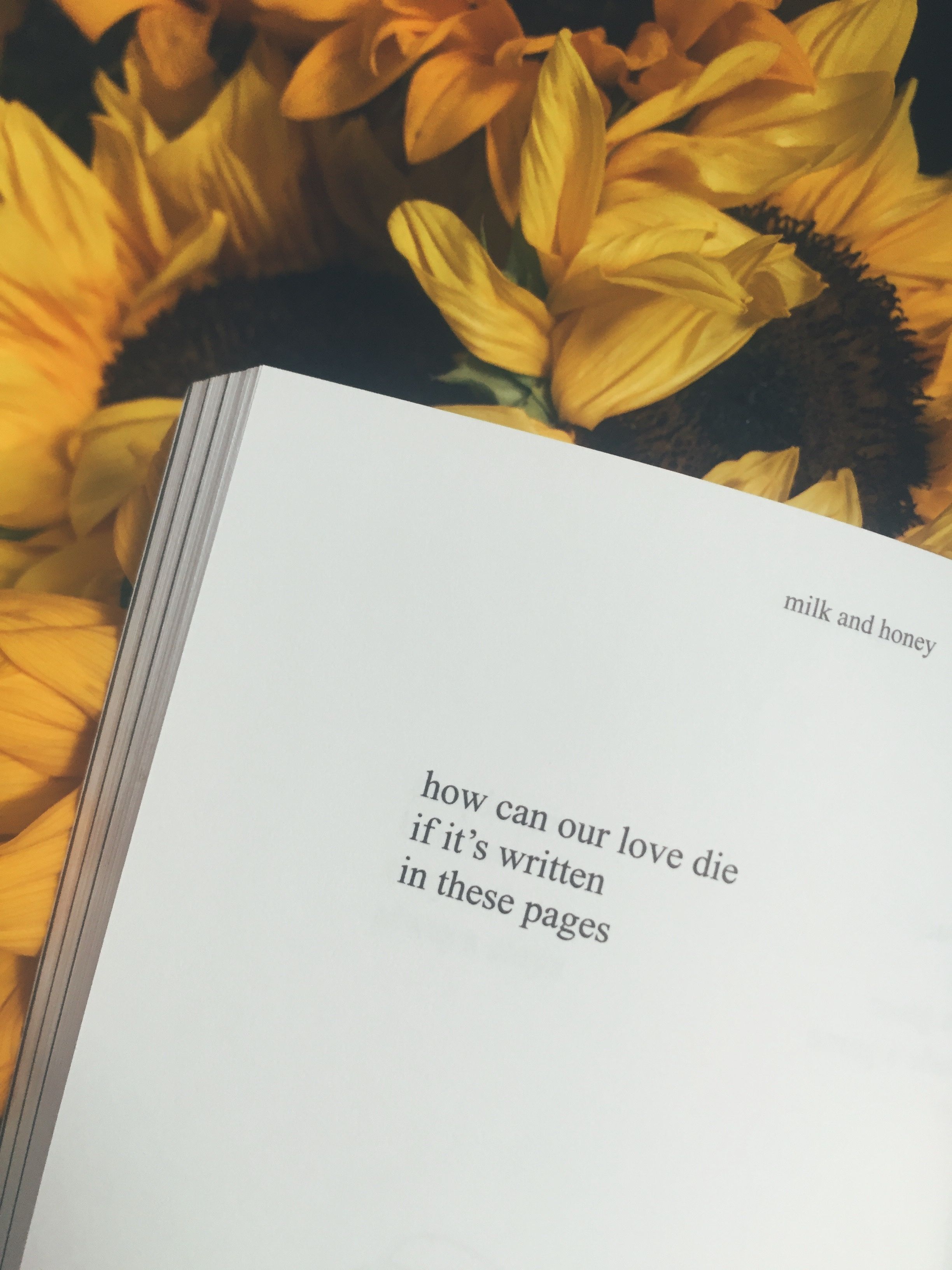 Libro poesie girasoli sfondo, 2448x3264 Full HD Verticale, iPhone