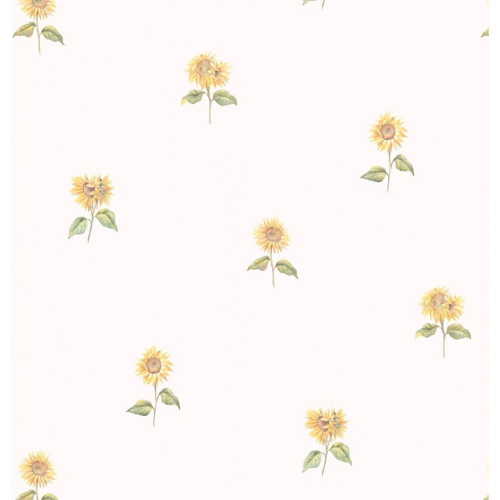 Girasoli disegnati sfondo bianco, 1000x1000 HD, Desktop