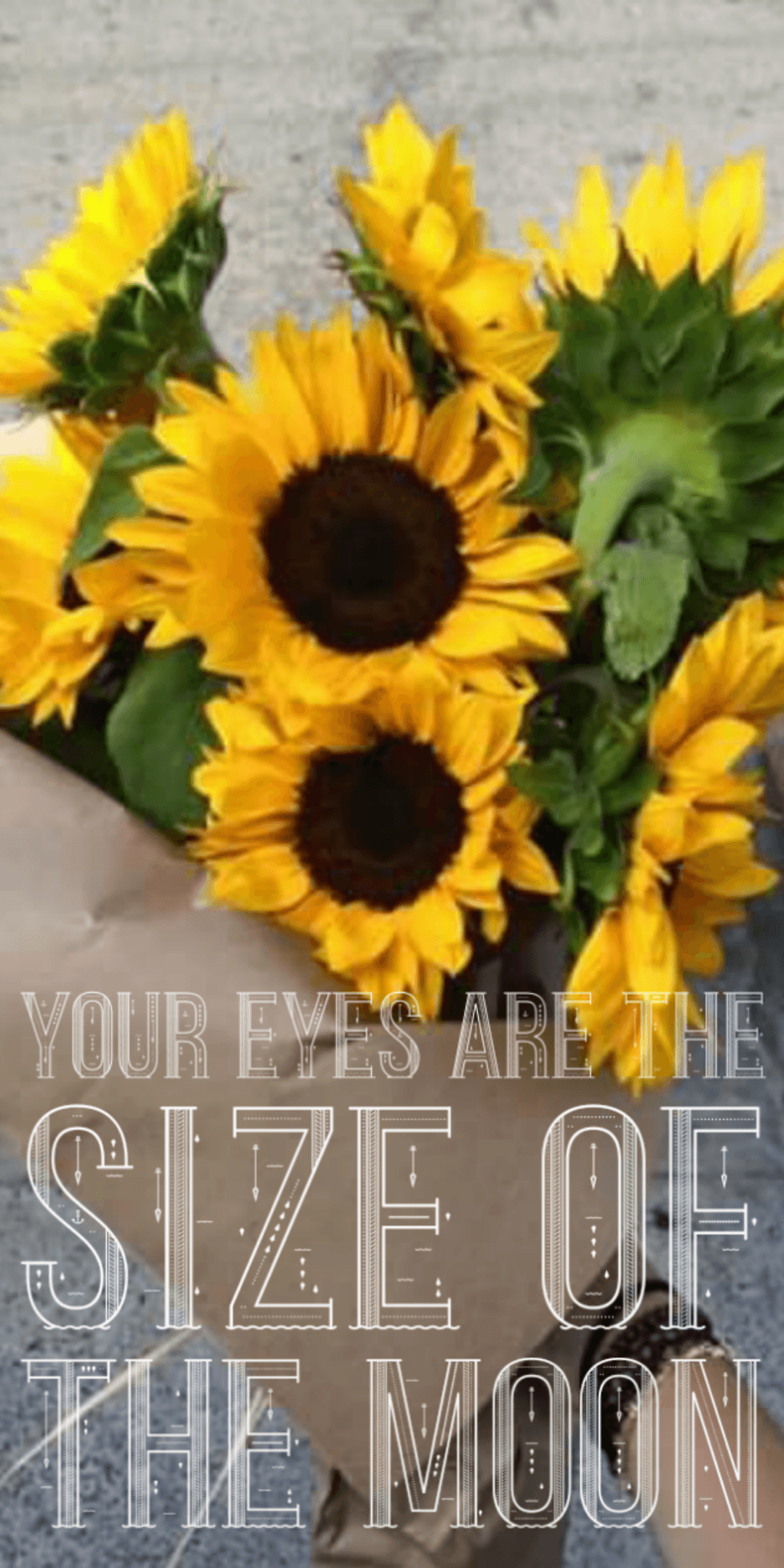 Girasoli gialli con testo, 961x1920 Full HD Verticale, iPhone