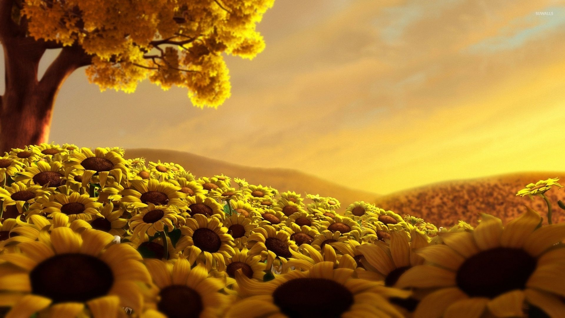 Campo di girasoli albero autunnale, 1920x1080 Full HD, Desktop