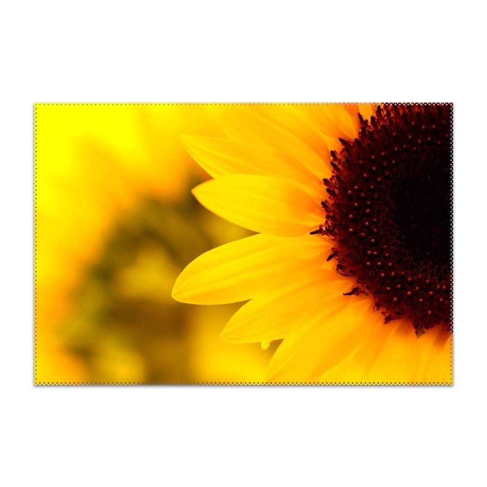 Girasole giallo primo piano, 1000x1000 HD, iMac
