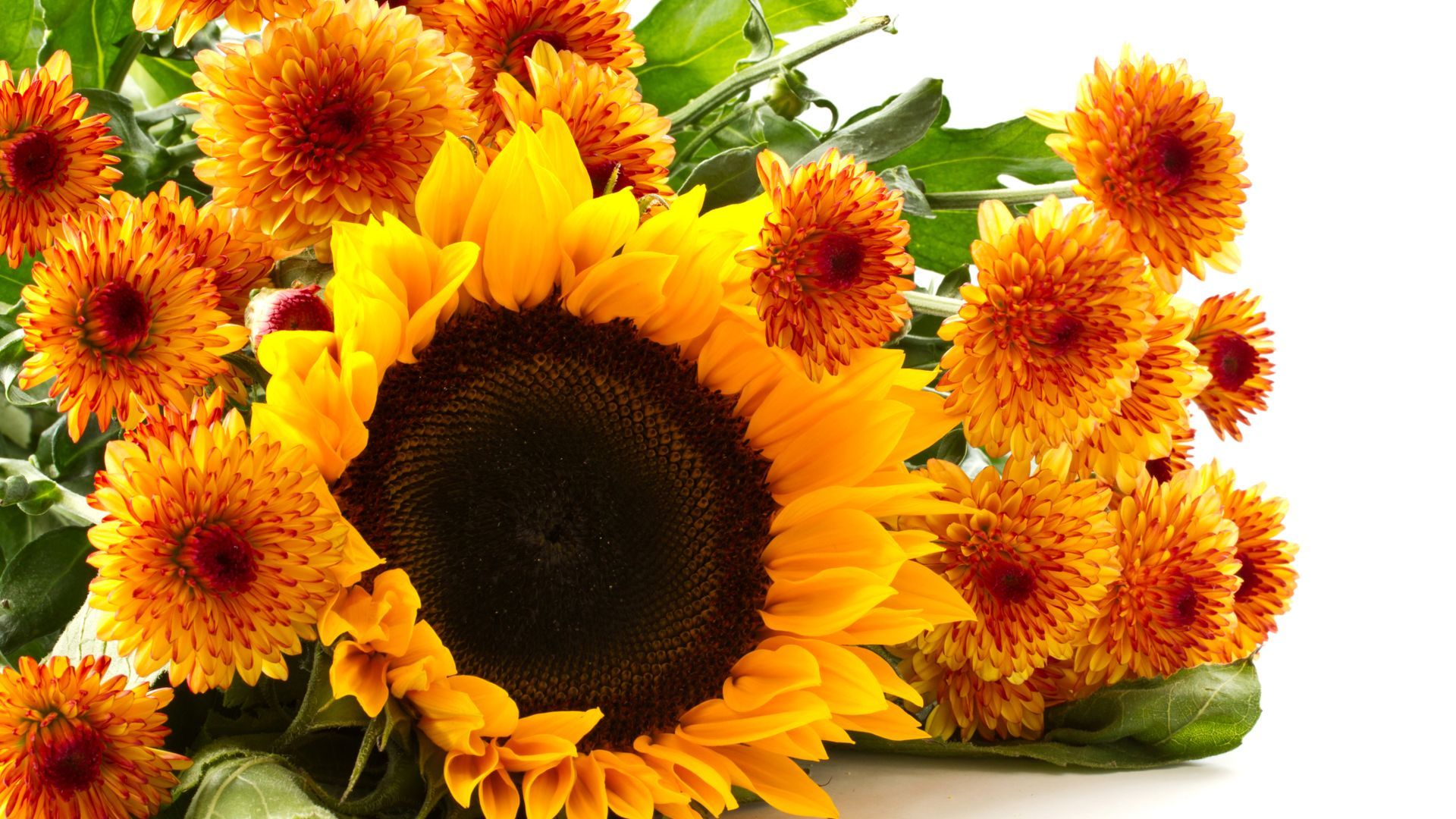 Bouquet di girasoli autunnali, 1920x1080 1080p, Desktop