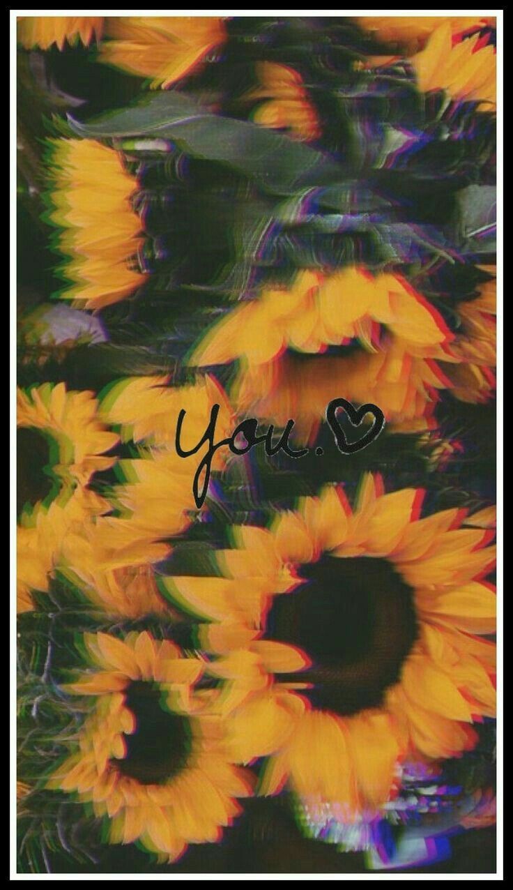 Girasoli sfondo scritta You, 736x1276 Full HD Verticale, Smartphone