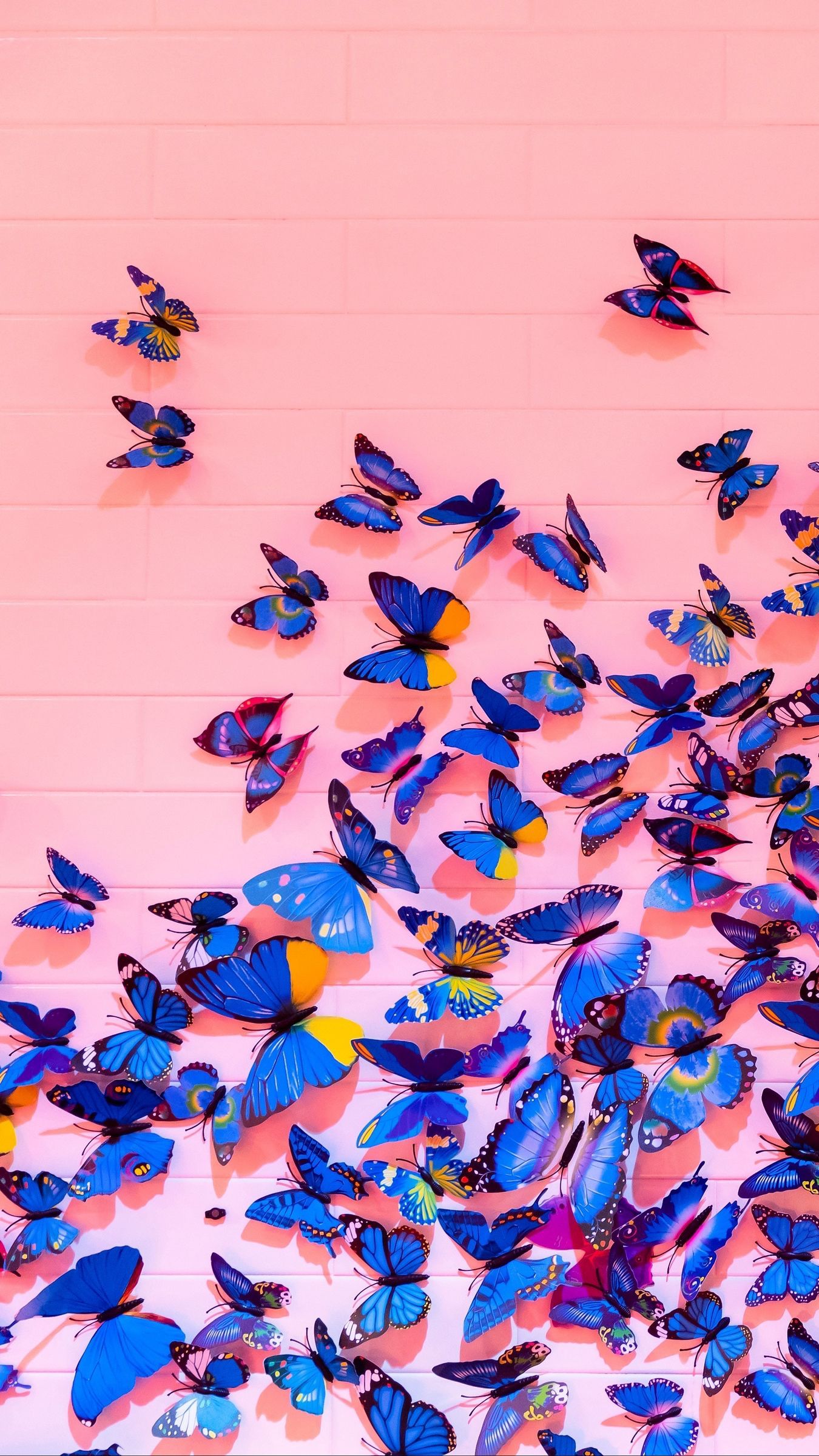 Farfalle blu su rosa, 1350x2400 Verticale, POCO