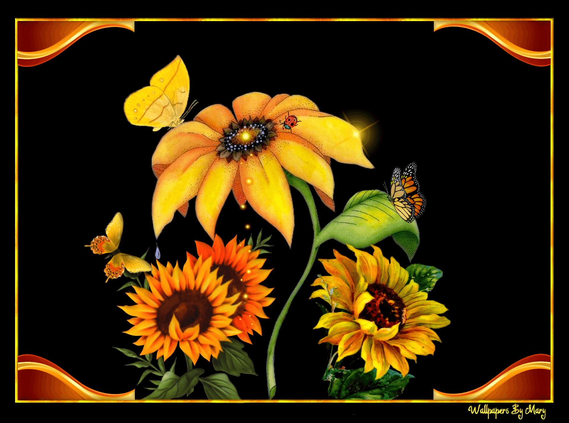 Girasoli e farfalle su nero, 1920x1430 WUXGA, PC Desktop