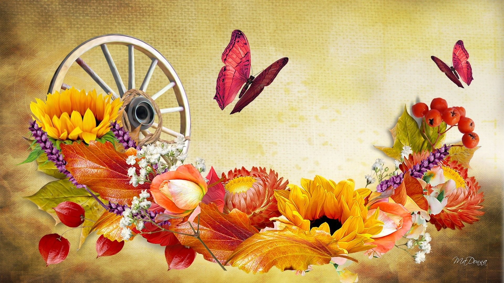 Girasoli, farfalle e ruota di carro, 1920x1080 1080p, Laptop
