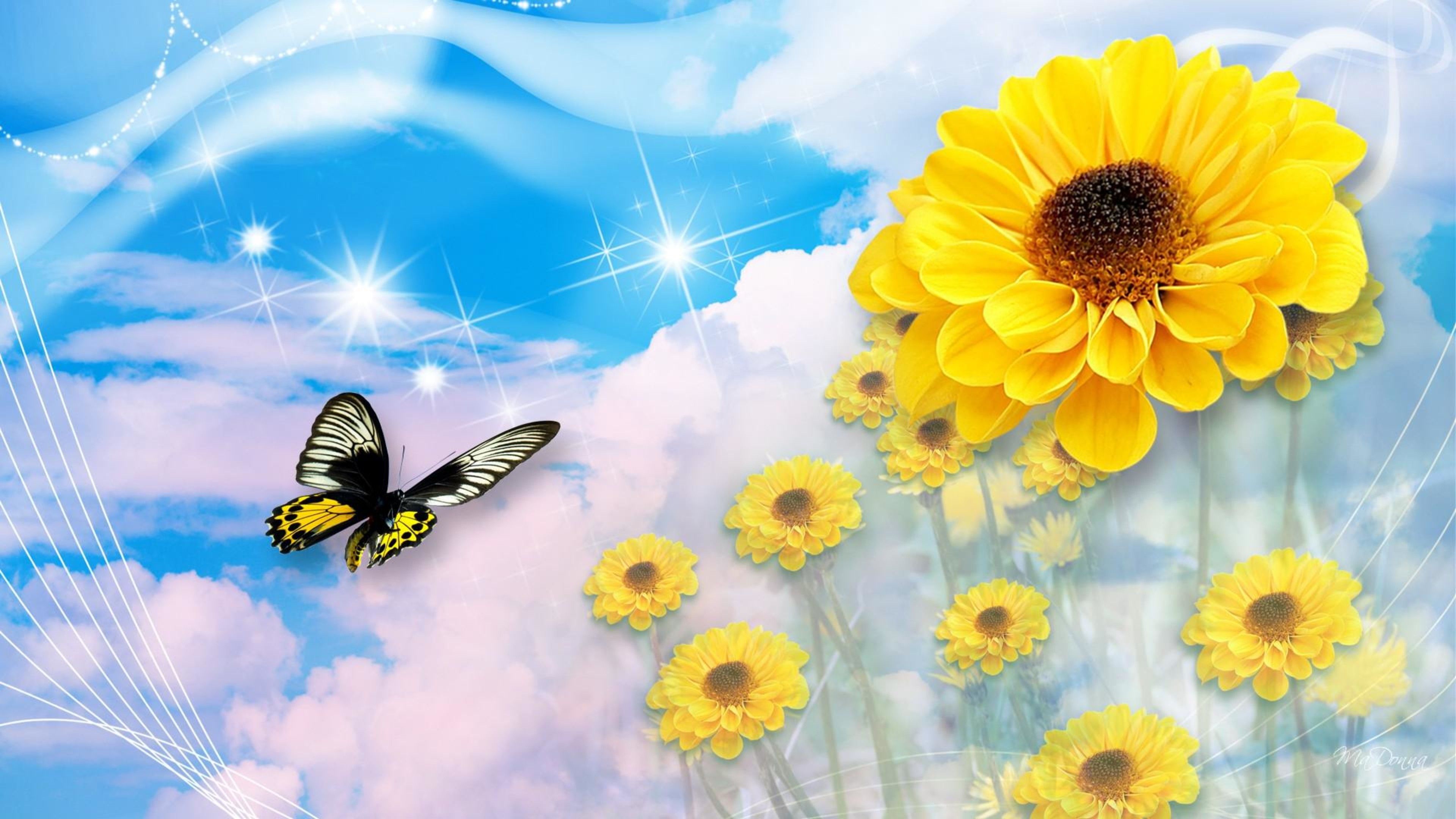 Girasoli gialli e farfalla, 3840x2160 4K Ultra HD, Monitor 4K