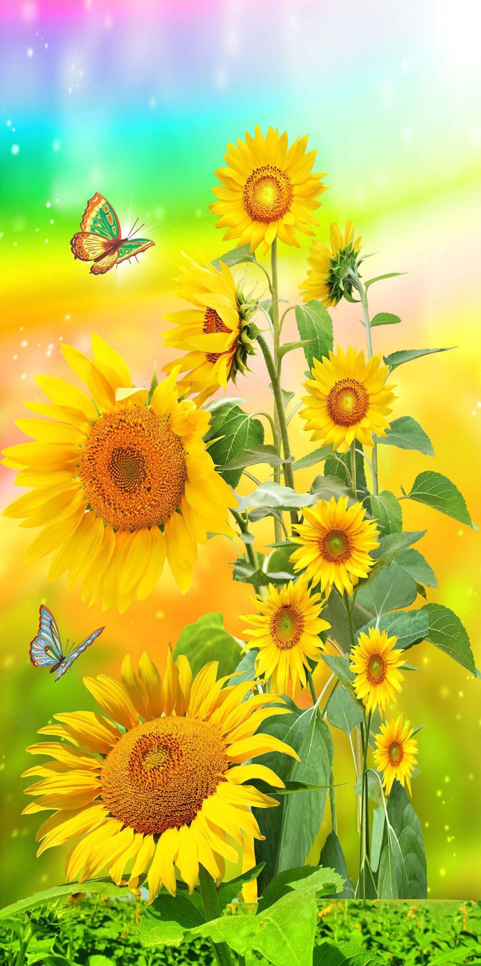 Girasoli gialli e farfalle, 1625x3263 Verticale, Telefono