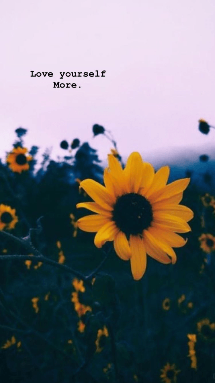 Girasoli con scritta motivazionale, 750x1334 Verticale, Mobile