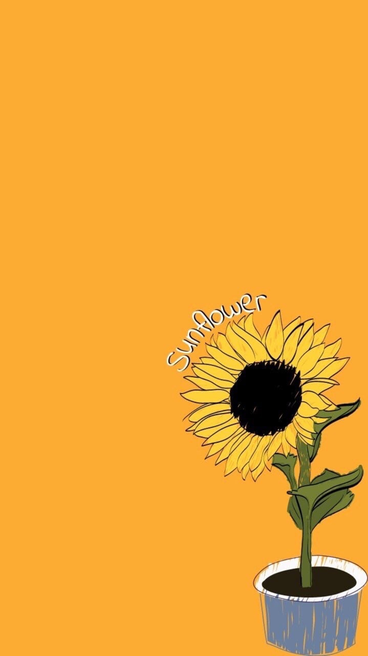 Campo di girasoli, 1080x1920 Verticale, Telefono
