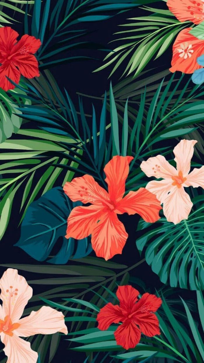 Fiori hibiscus tropicali arancioni, 700x1244 Full HD Verticale, Smartphone