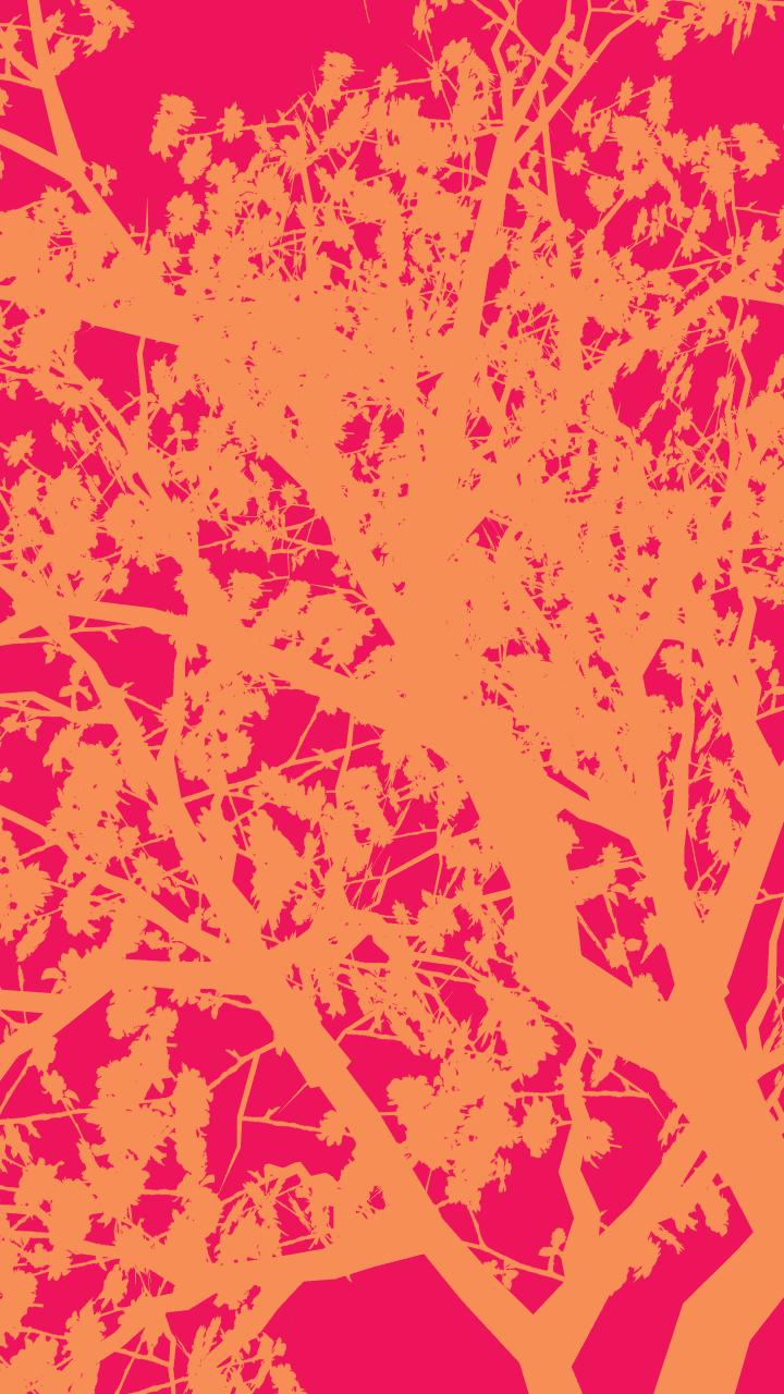 Silhouette albero arancione rosa, 720x1280 Full HD Verticale, Smartphone