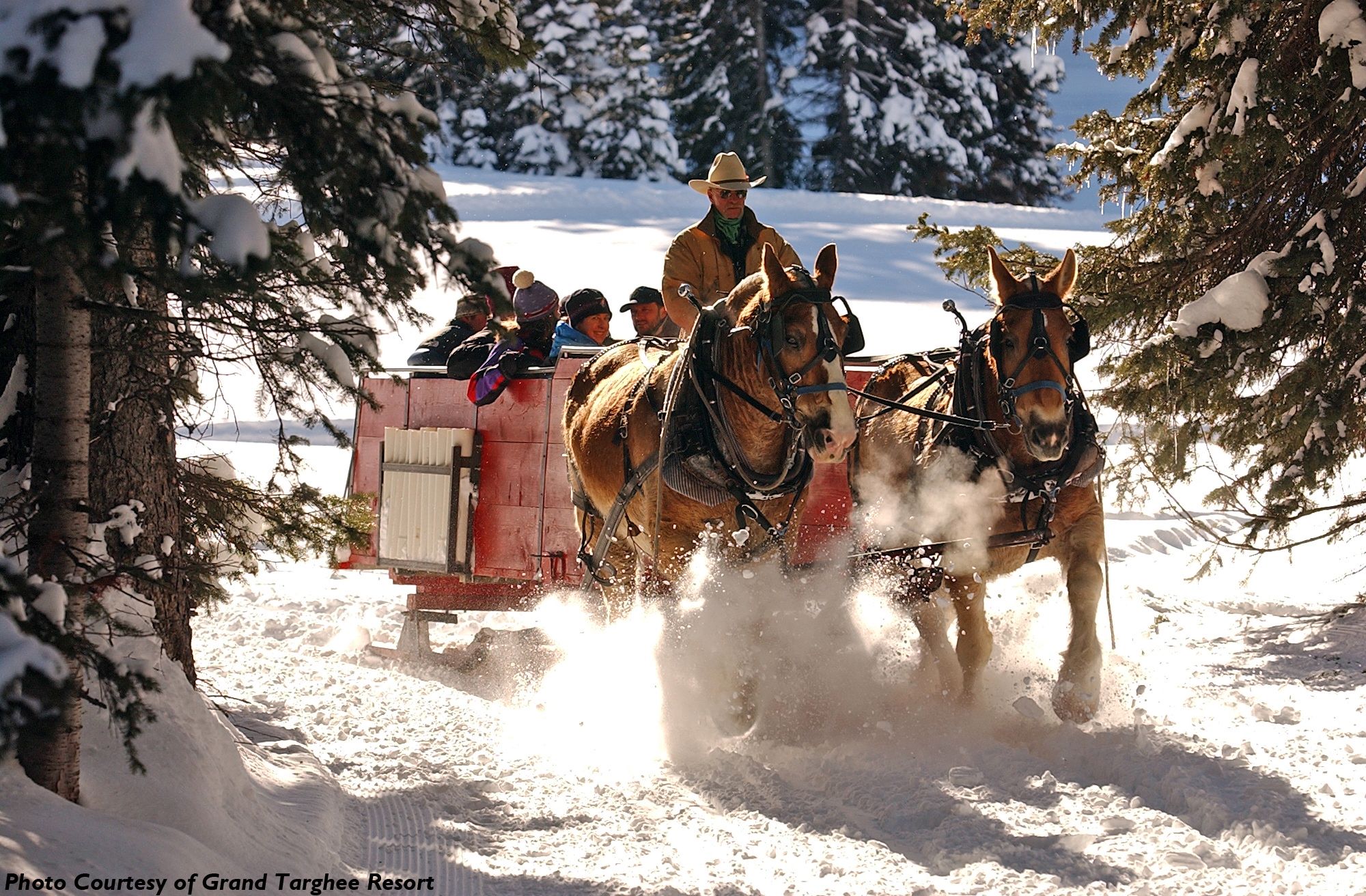 Slitta trainata da cavalli neve, 2000x1312 Hi-Res, Desktop