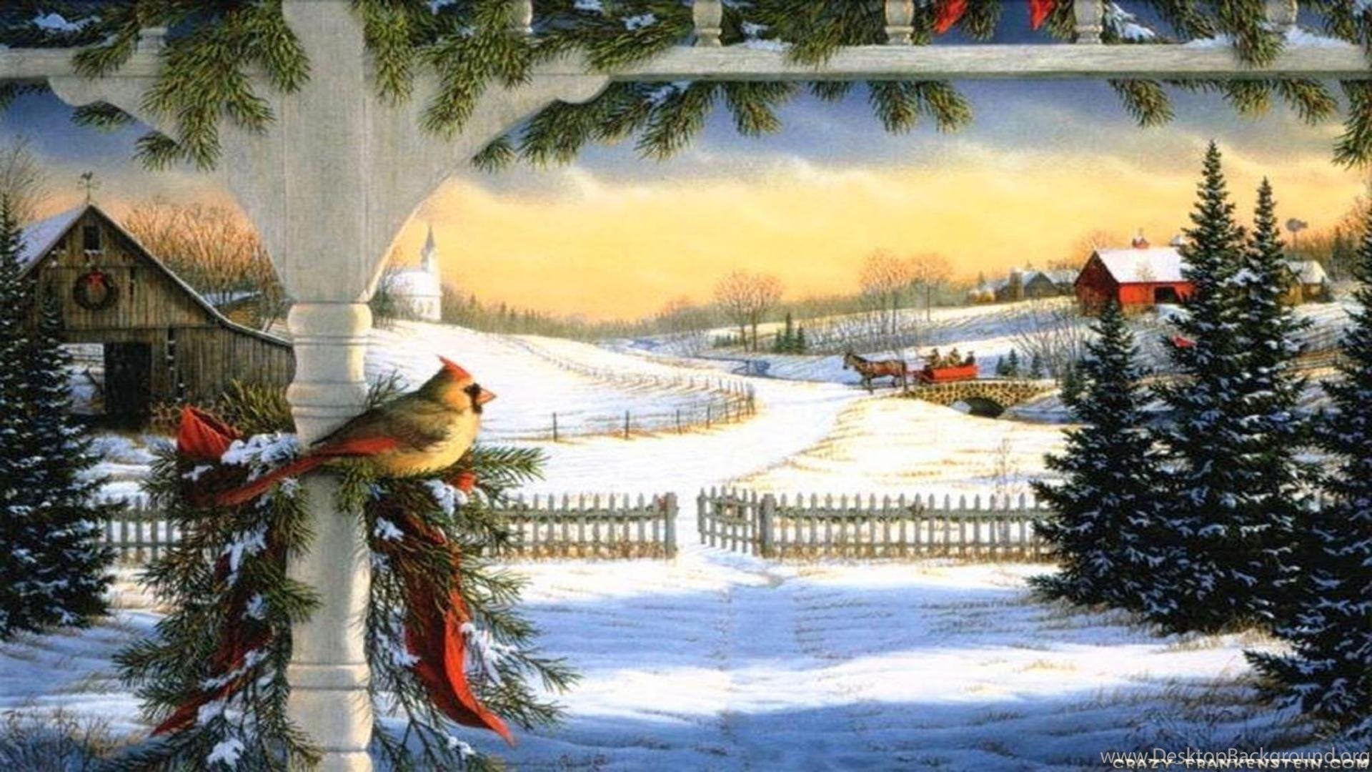 Cardinali su portico innevato, 1920x1080 Full HD 1080p, PC