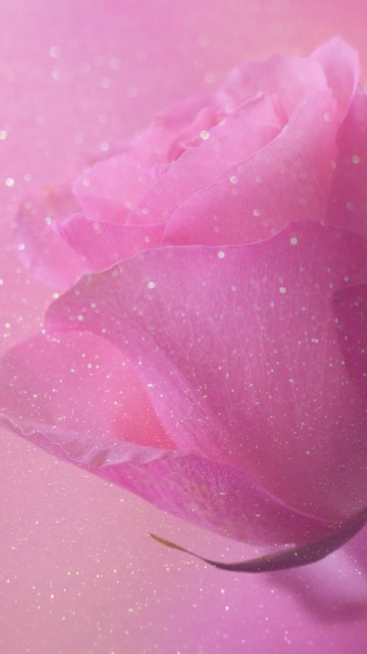 Rosa rosa con glitter, 1242x2208 Verticale, Telefono