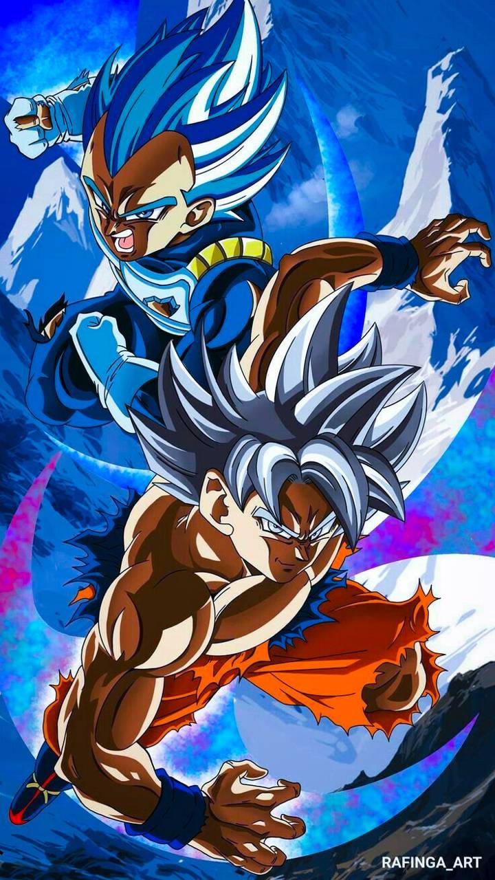 Goku Ultra Instinct e Vegeta SSB, Principe dei Saiyan, 720x1280 Full HD Verticale, iPhone