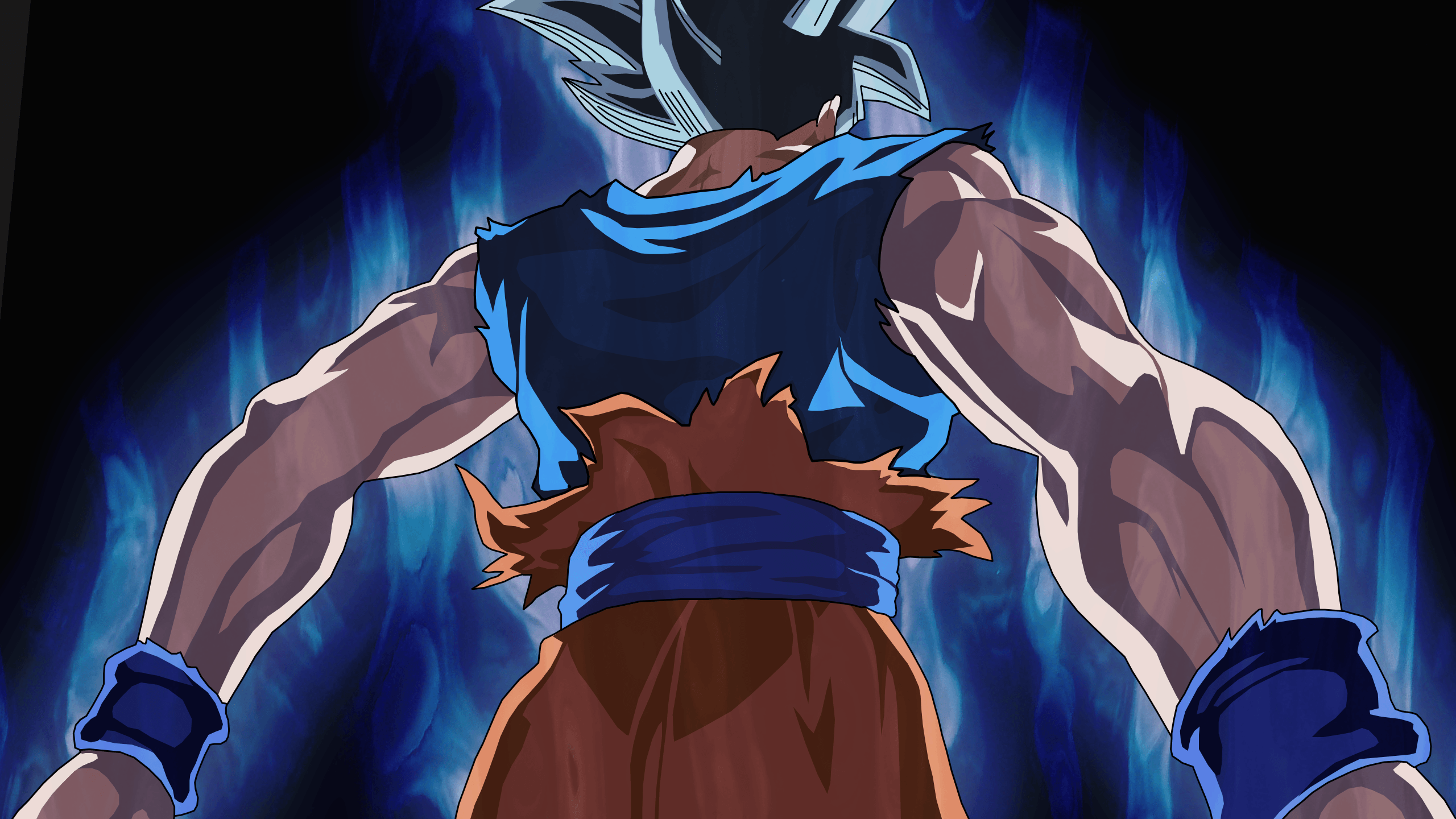 Goku Ultra Instinct, capelli argento, Saiyan, 2560x1440 2K QHD, PC