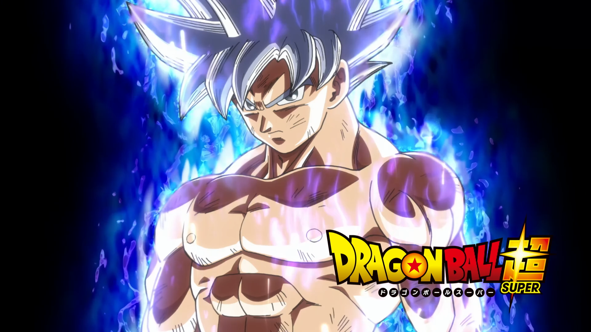 Goku Ultra Istinto Dragon Ball Super, 1920x1080 Full HD 1080p, PC Desktop