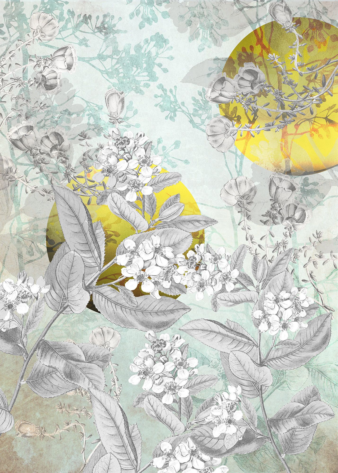 Fiori botanici con sole dorato, 1429x2000 Full HD Verticale, iPhone