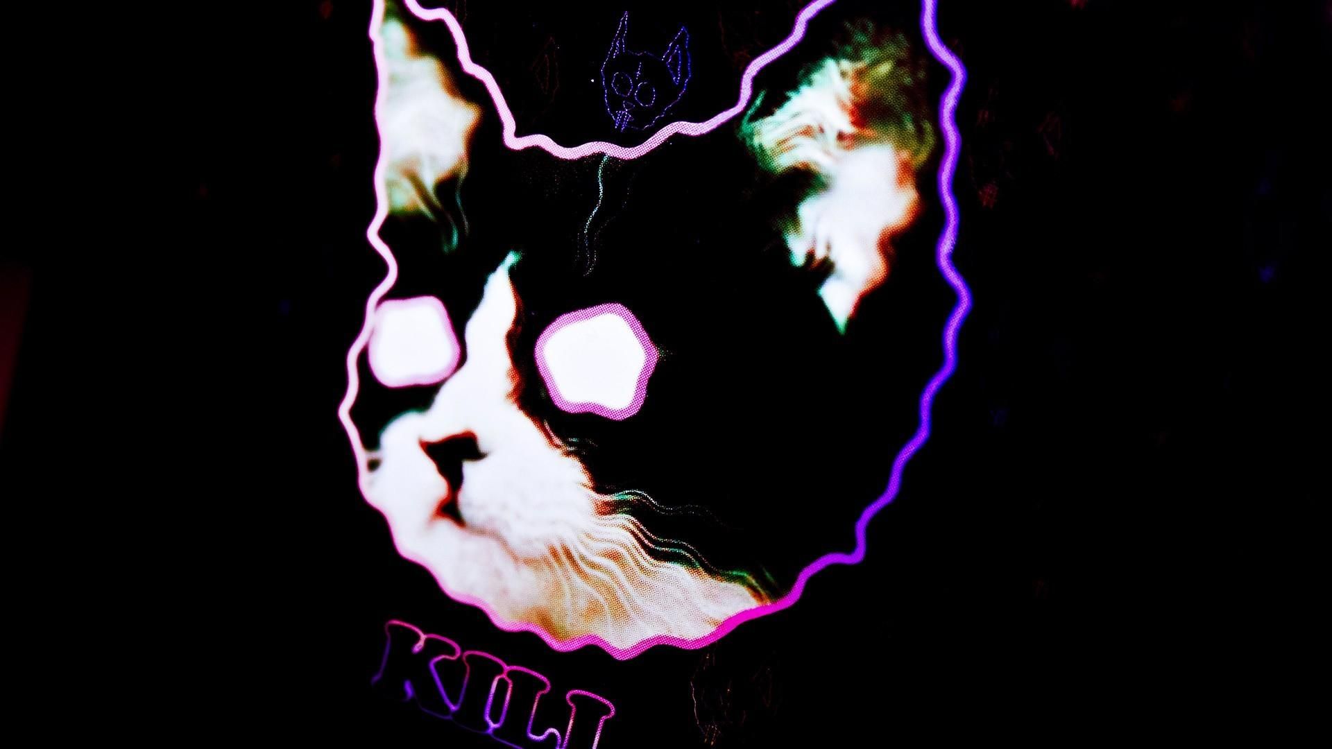 Testa gatto contorno neon viola, 1920x1080 1080p, Desktop