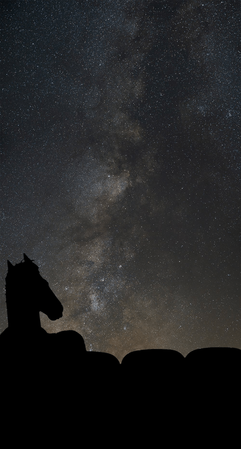 Silhouette cavallo cielo stellato notte, 1000x1858 Verticale, POCO