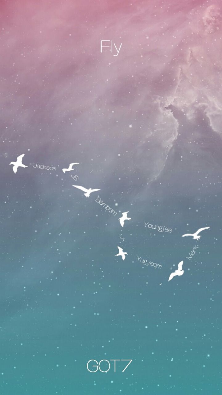 Uccelli in volo, cielo rosa-verde, 720x1280 Verticale, Mobile