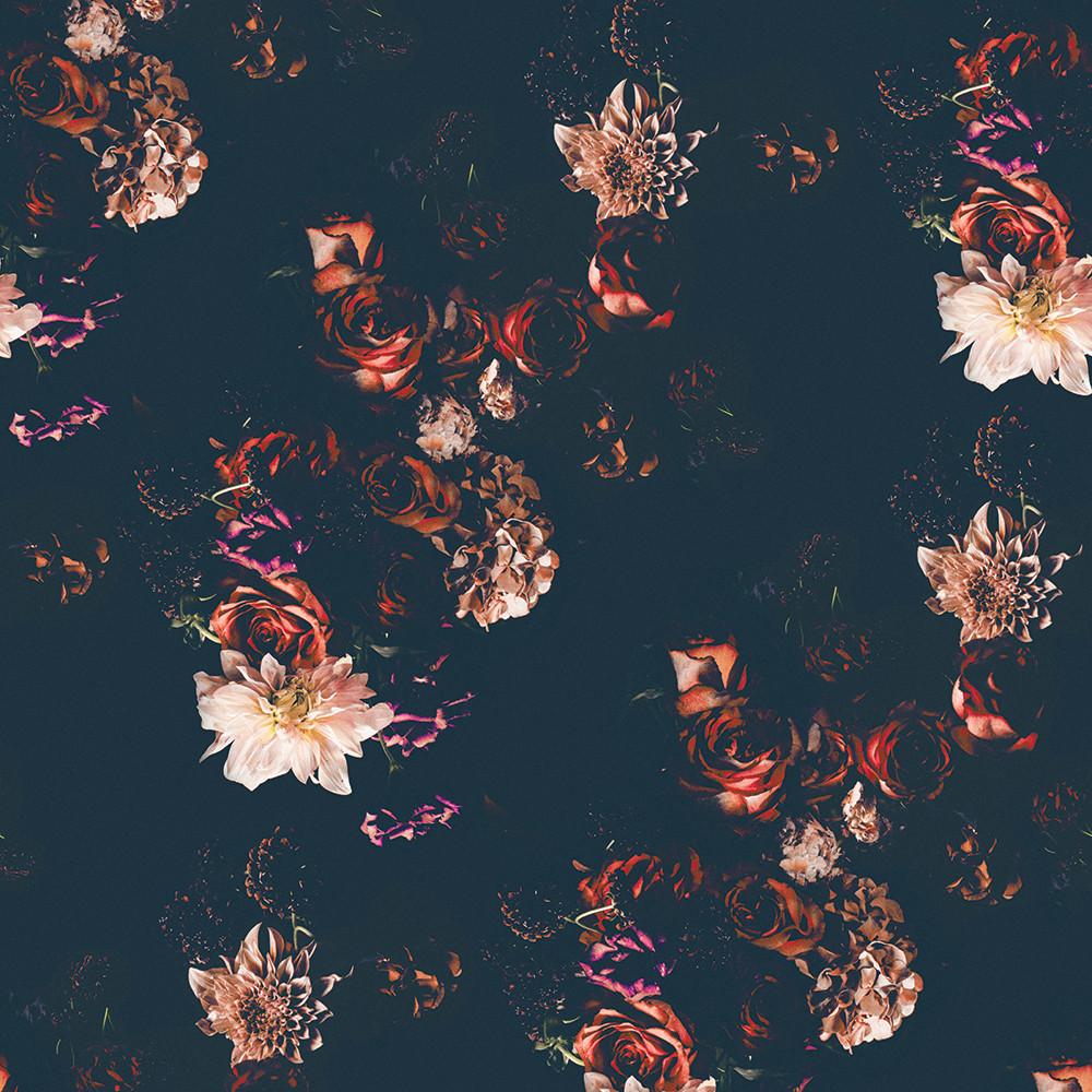 Fiori scuri su sfondo nero, 1000x1000 HD, iMac