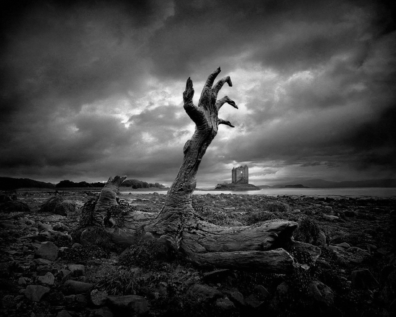 Mano scheletrica dalla terra, bianco e nero, 1280x1024 HD, MacBook Pro
