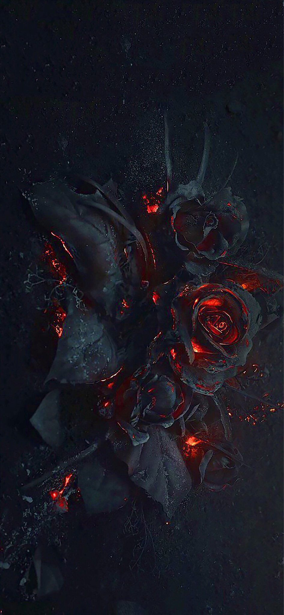 Rose nere gotiche scure, 946x2048 Full HD Verticale, Smartphone