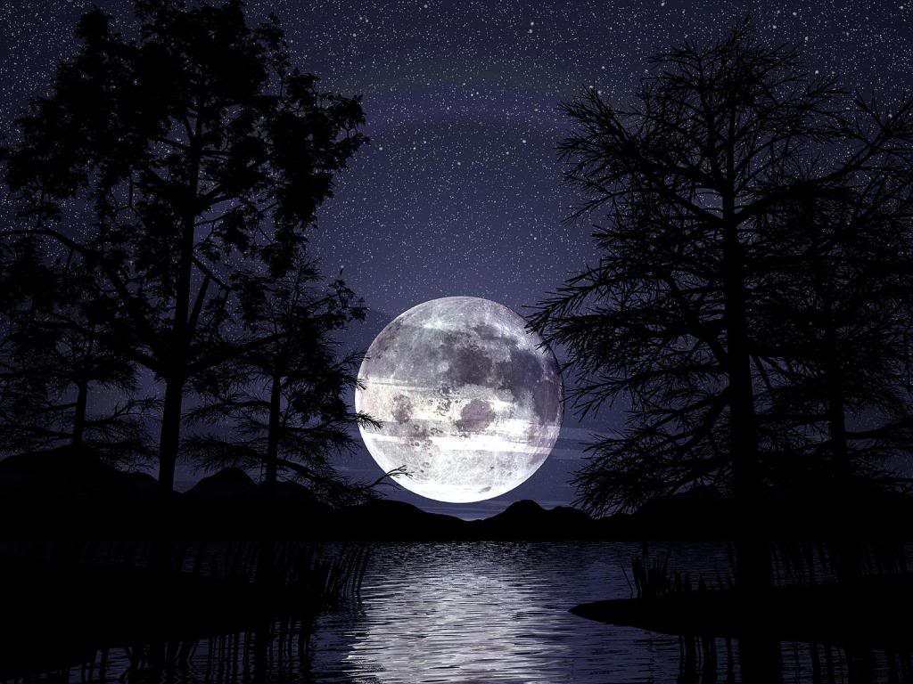 Luna piena notturna sul lago, 1024x768 HD, Notebook