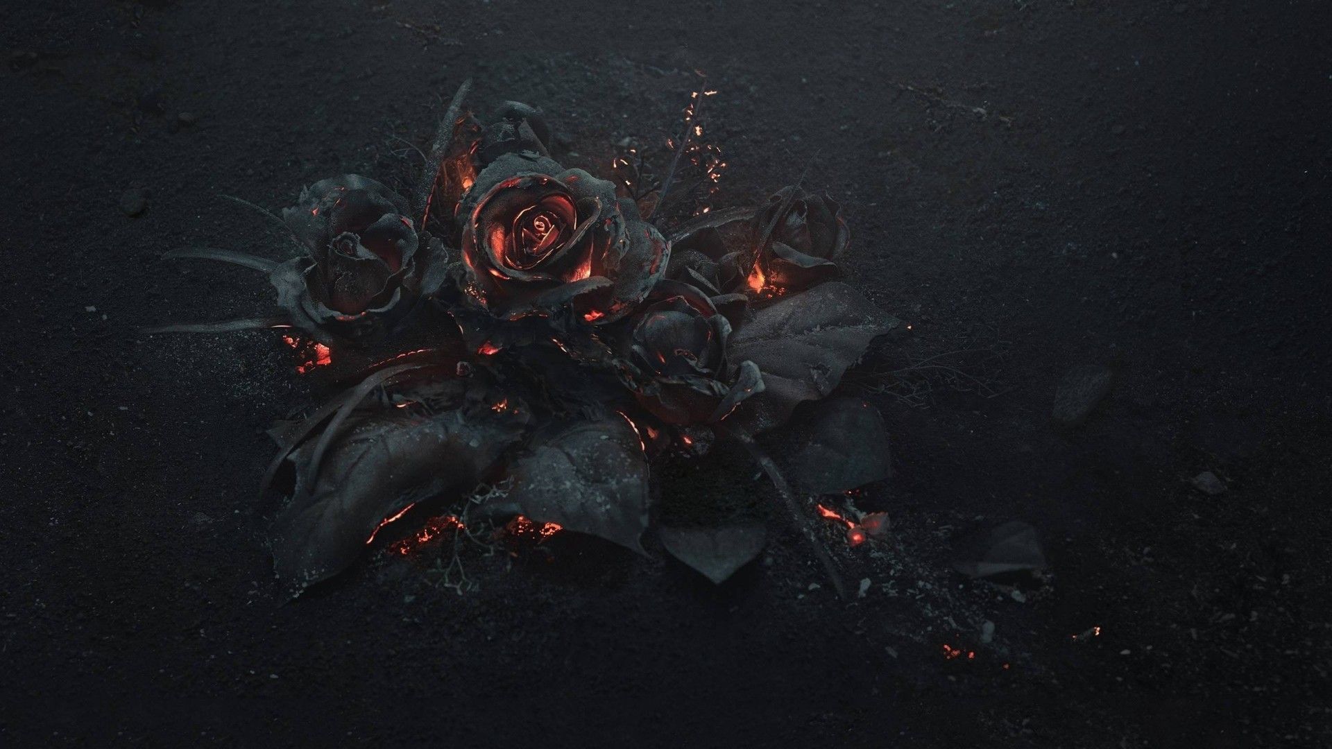 Rose nere con luci rosse, 1920x1080 Full HD 1080p, Desktop