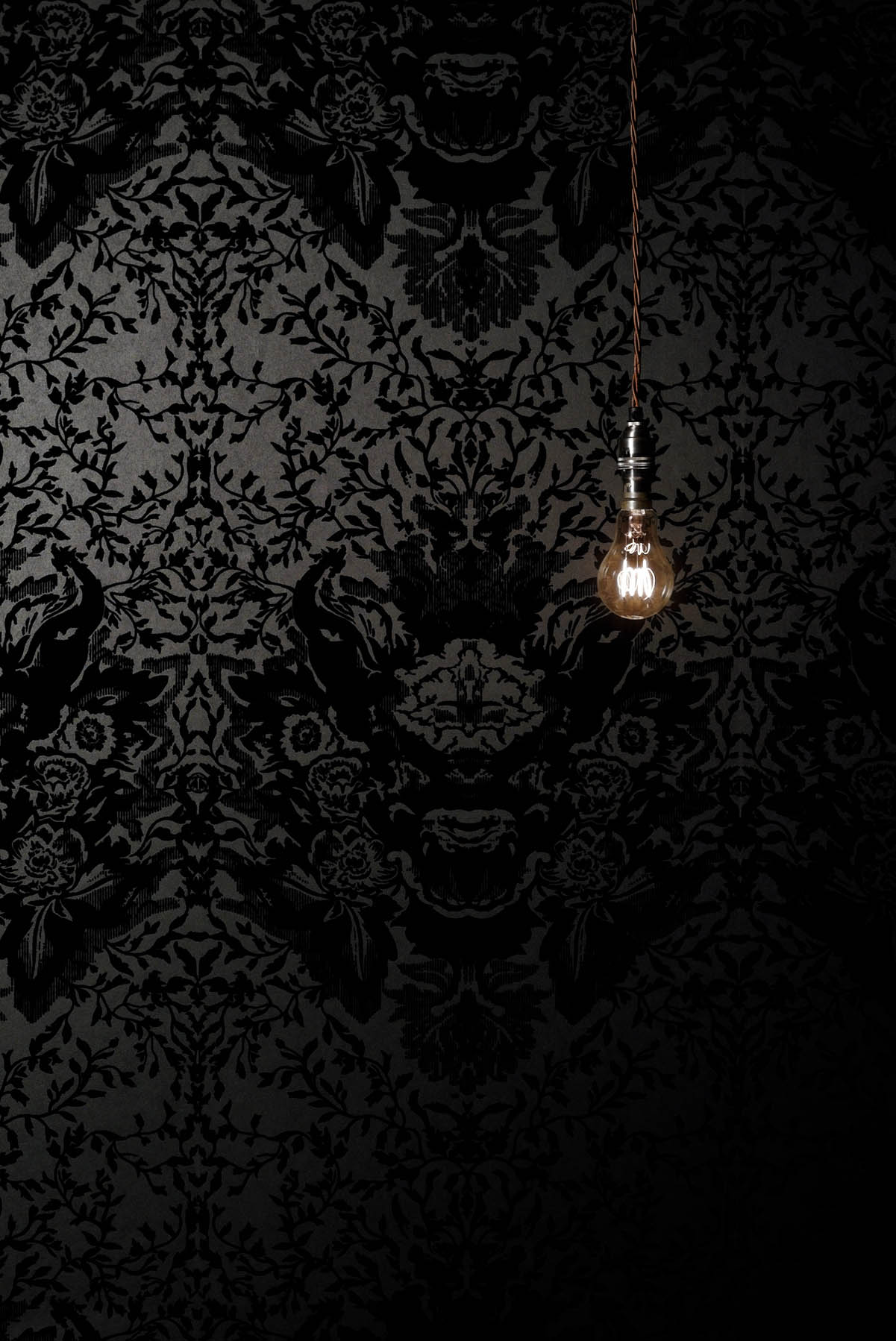 Lampadina appesa su damasco nero, 1201x1798 Full HD Verticale, Smartphone