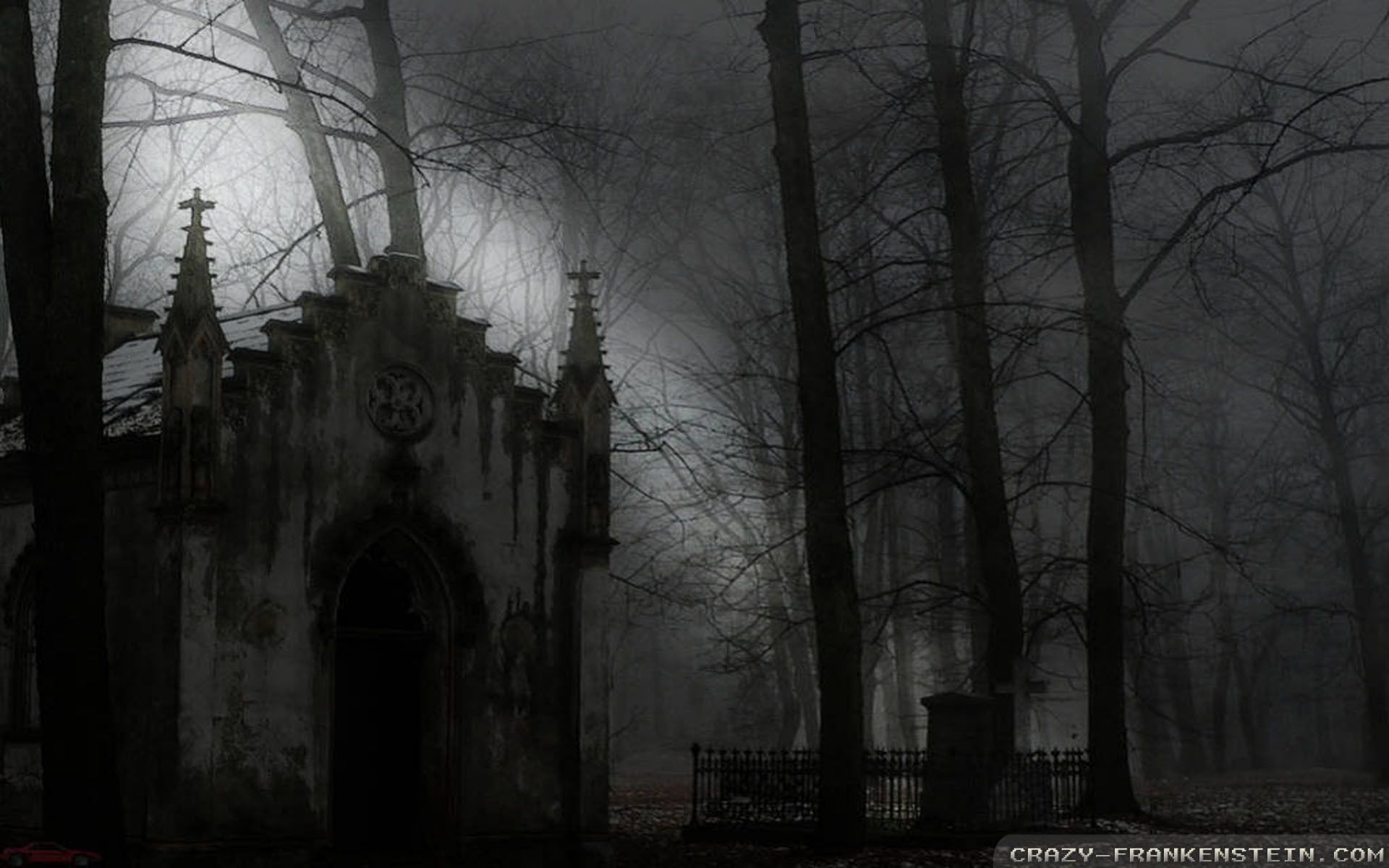 Cripta cimitero nebbia scuro, 1920x1200 WUXGA, Laptop