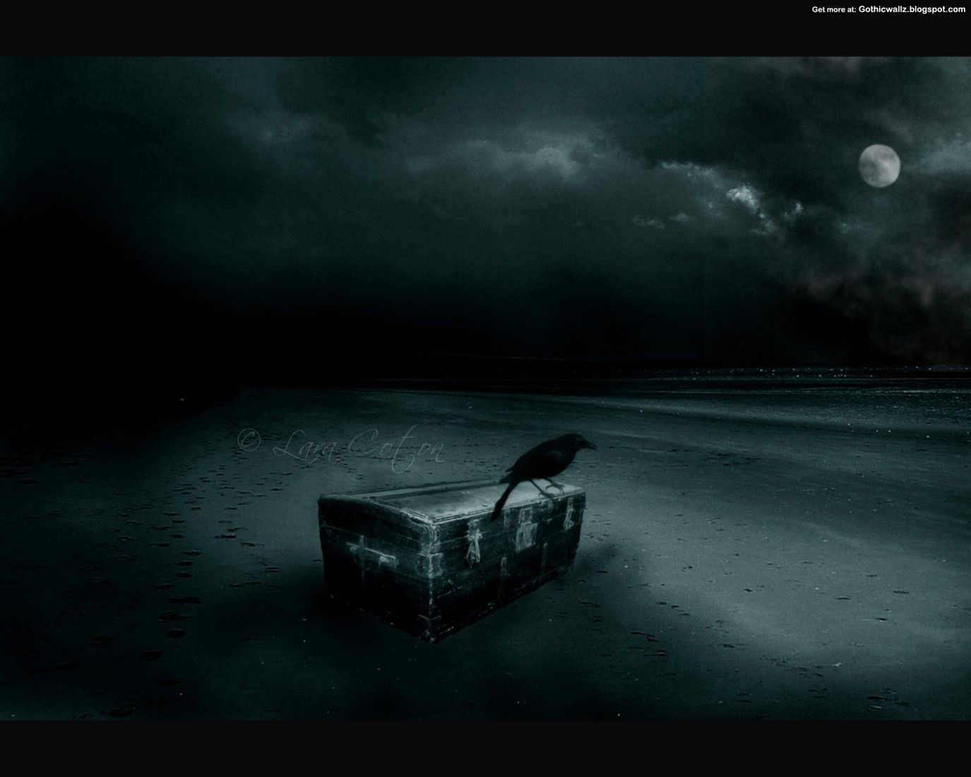Corvo su baule sotto luna, 1375x1100 HD, Desktop