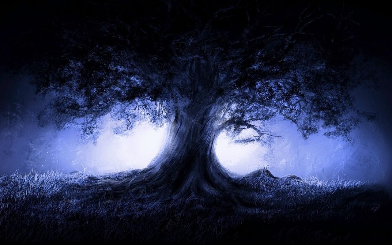 Albero scuro nella nebbia notturna, 1280x800 HD, Desktop