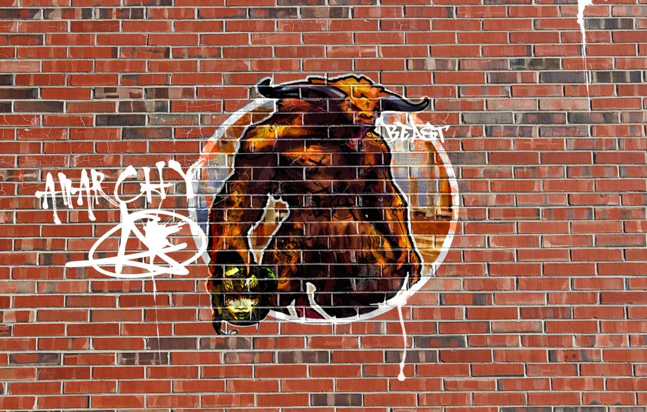 Graffiti toro anarchia muro mattoni, 1332x850 HD, Desktop