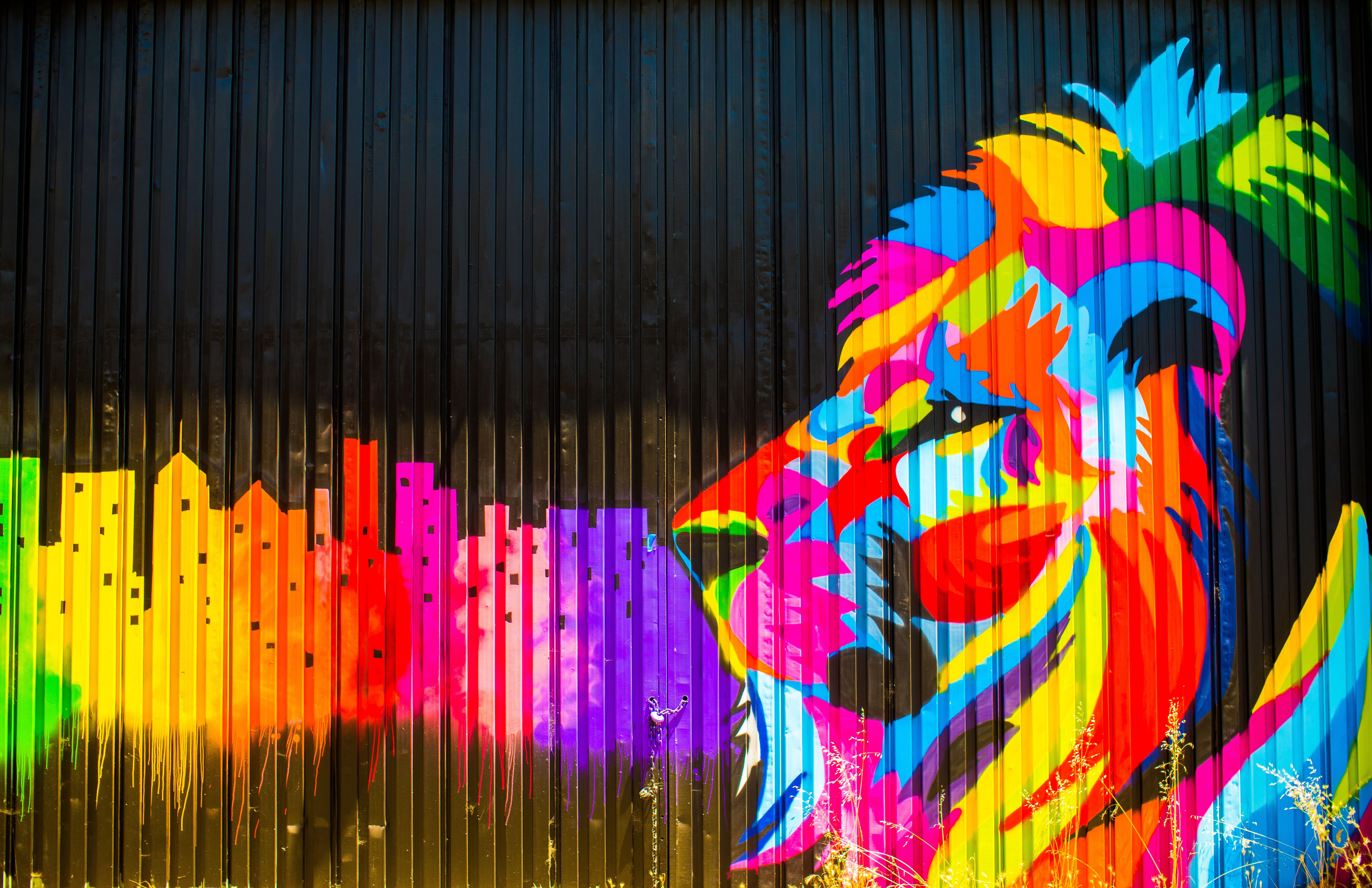 Leone graffiti colorato, 6616x4281 4K Ultra HD, Notebook Gaming