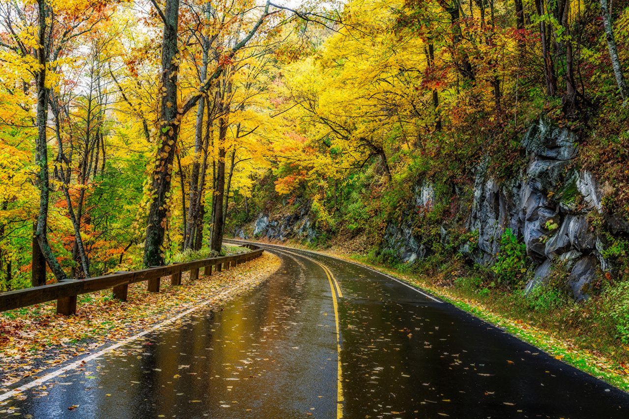 Strada di montagna autunnale, 1280x853 HD, Desktop