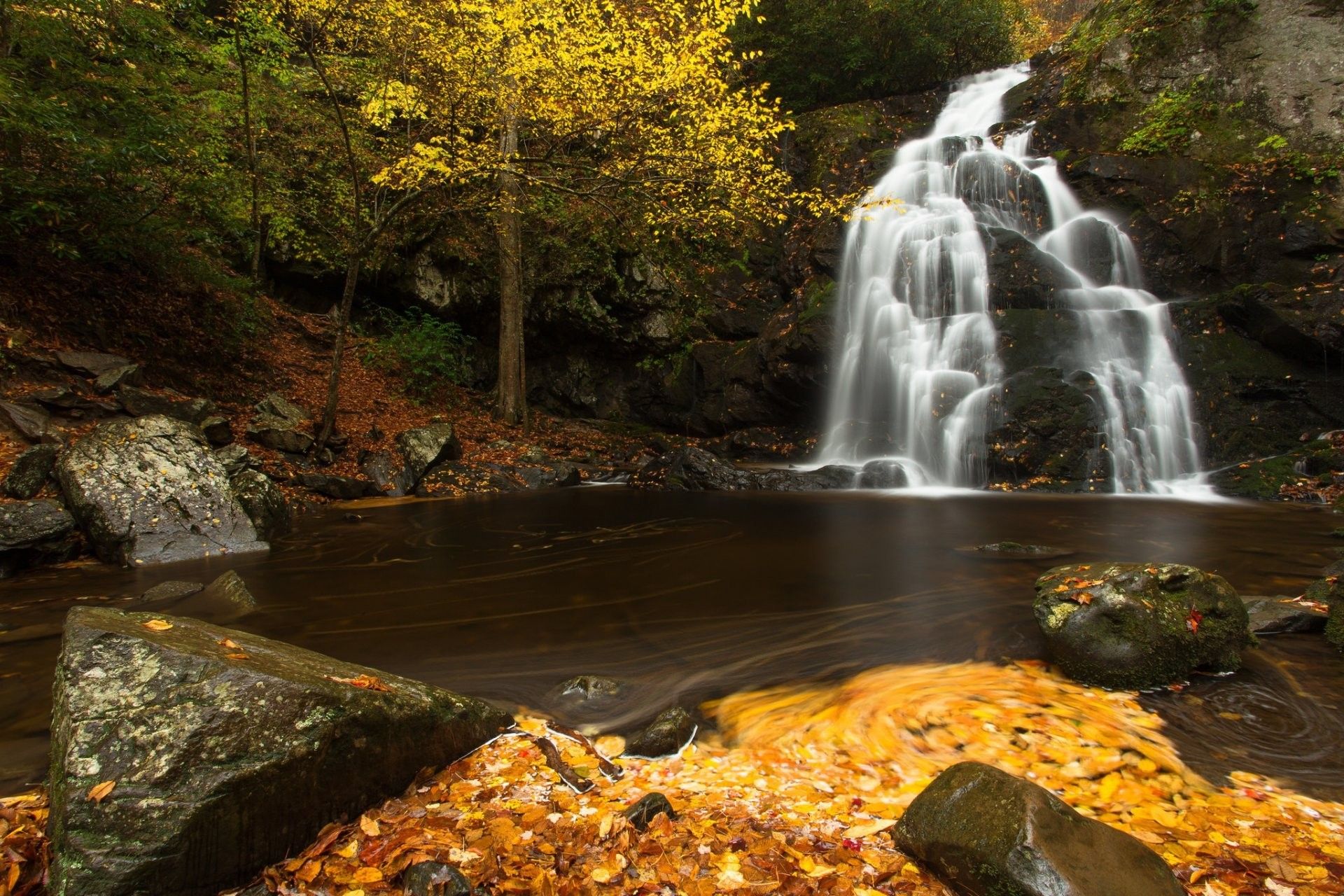 Cascata autunnale con foglie dorate, 1920x1280 Full HD+ WUXGA, Desktop