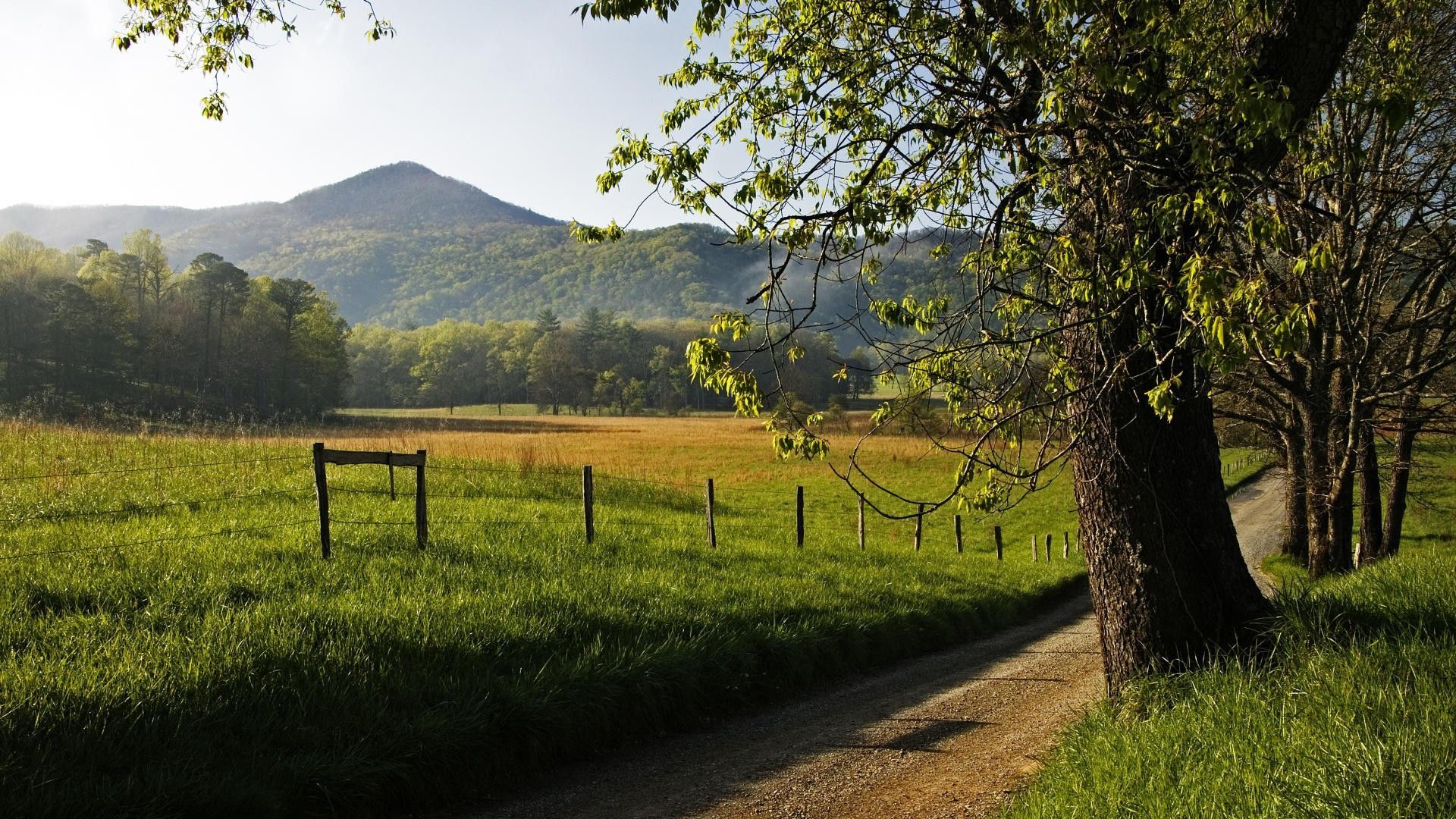 Valle montagna prato verde, 1920x1080 Full HD 1080p, Desktop