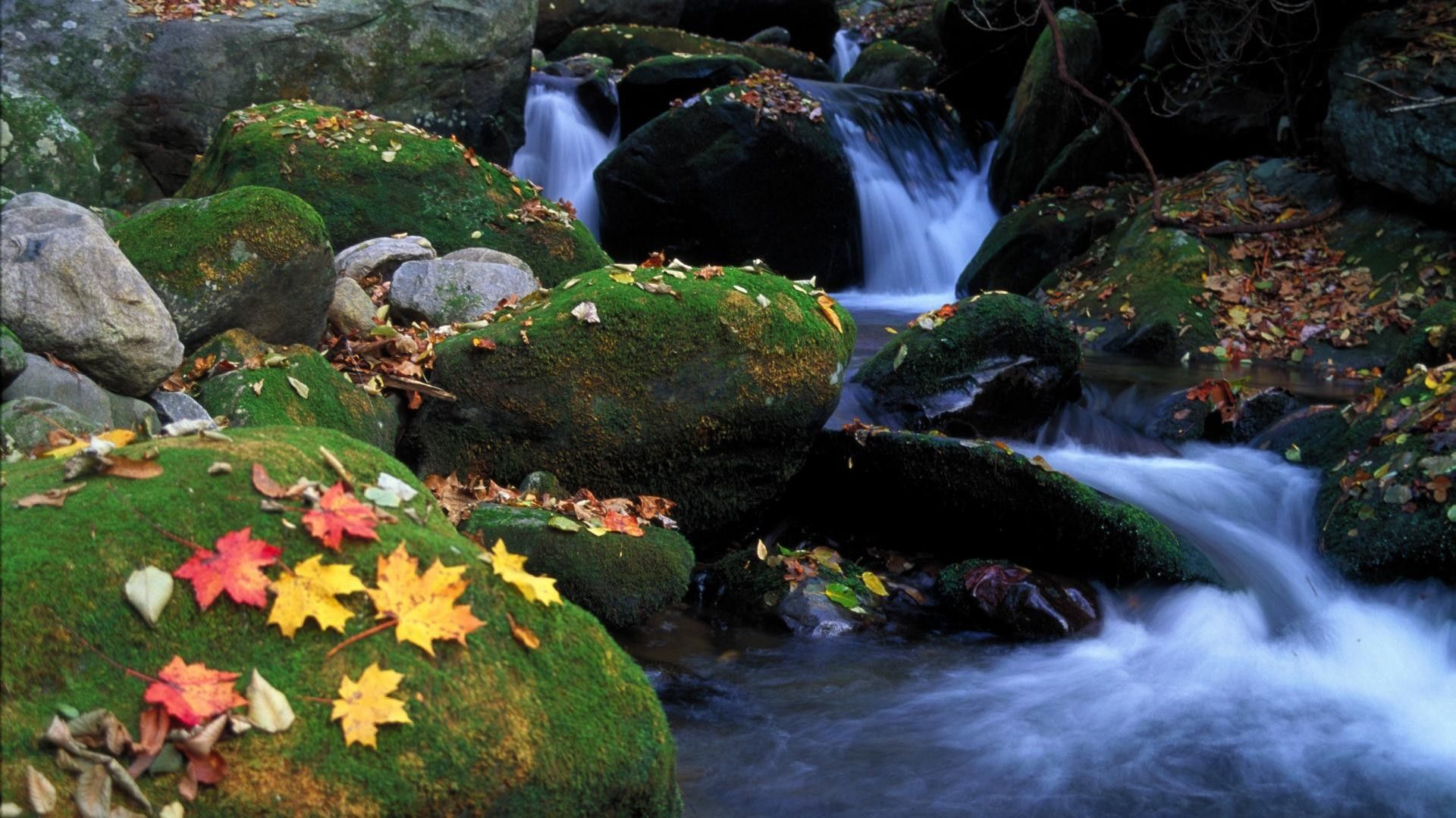 Cascata autunnale con rocce muschiate, 1920x1080 1080p, Desktop