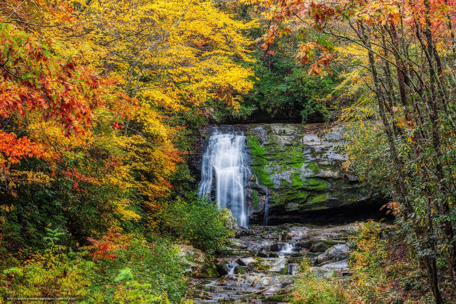 Cascata autunnale nella foresta, 1600x1066 HD Ready, Desktop
