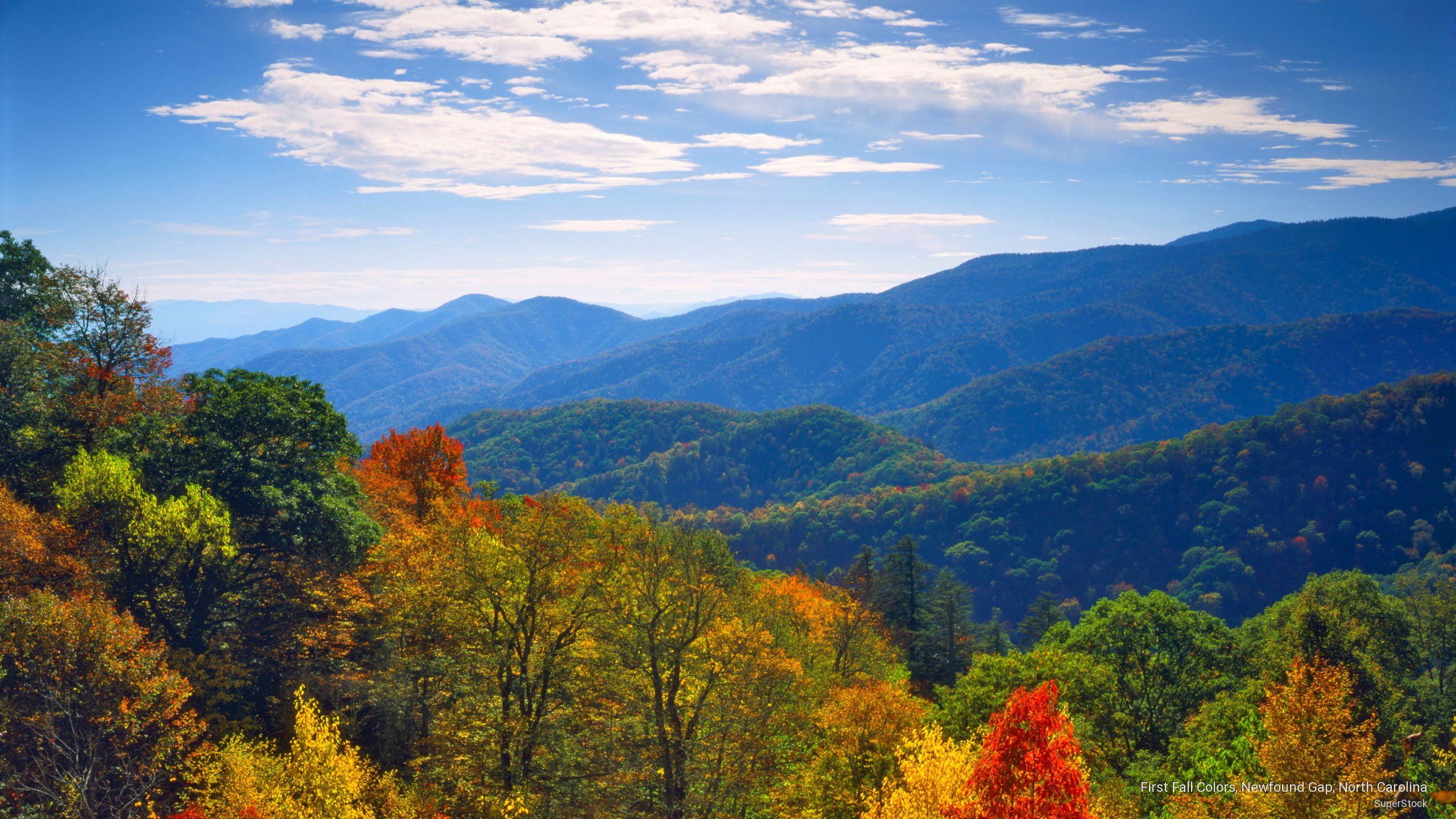 Montagne fumose in autunno, 2560x1440 1440p, Monitor Gaming