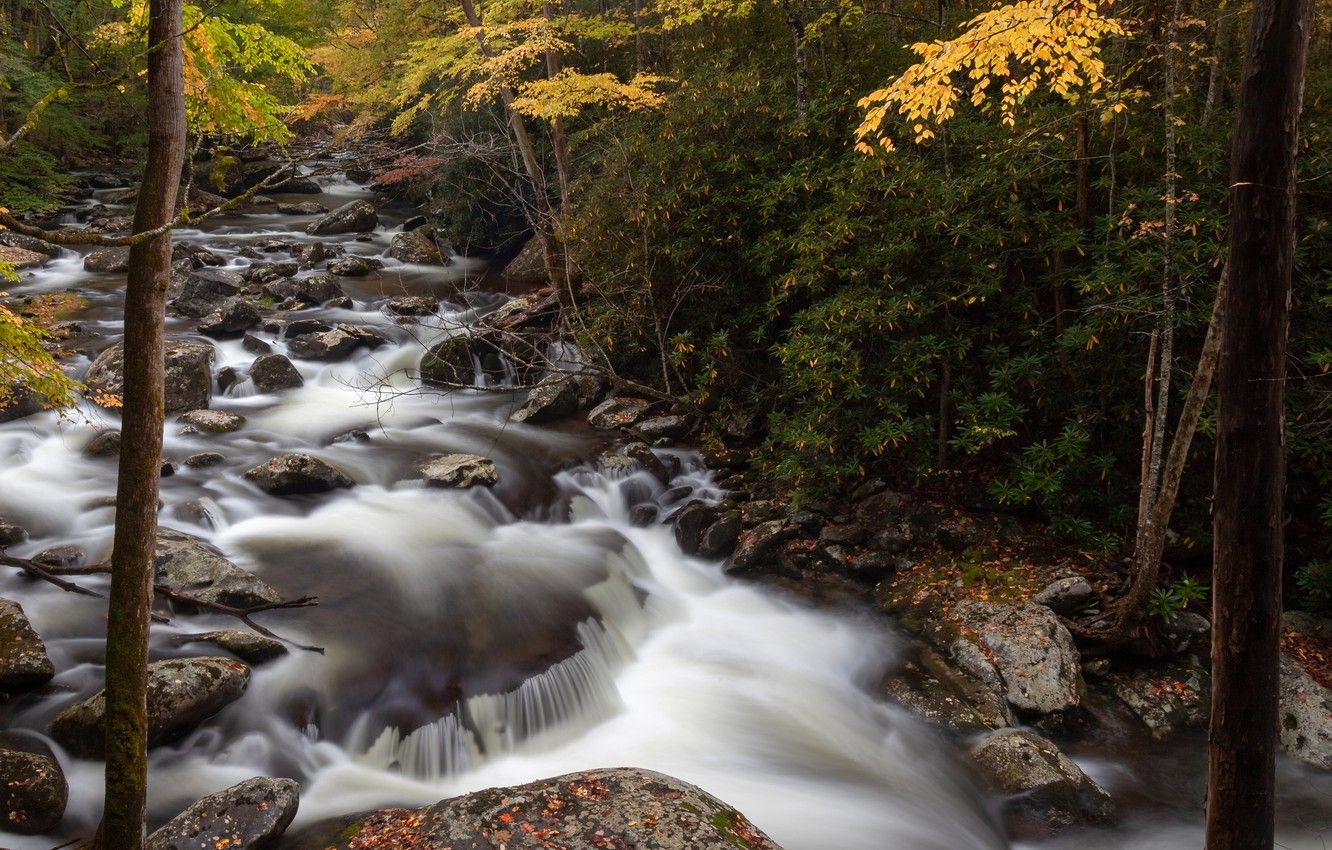 Torrente roccioso bosco autunnale, 2880x1800 2K+, Desktop