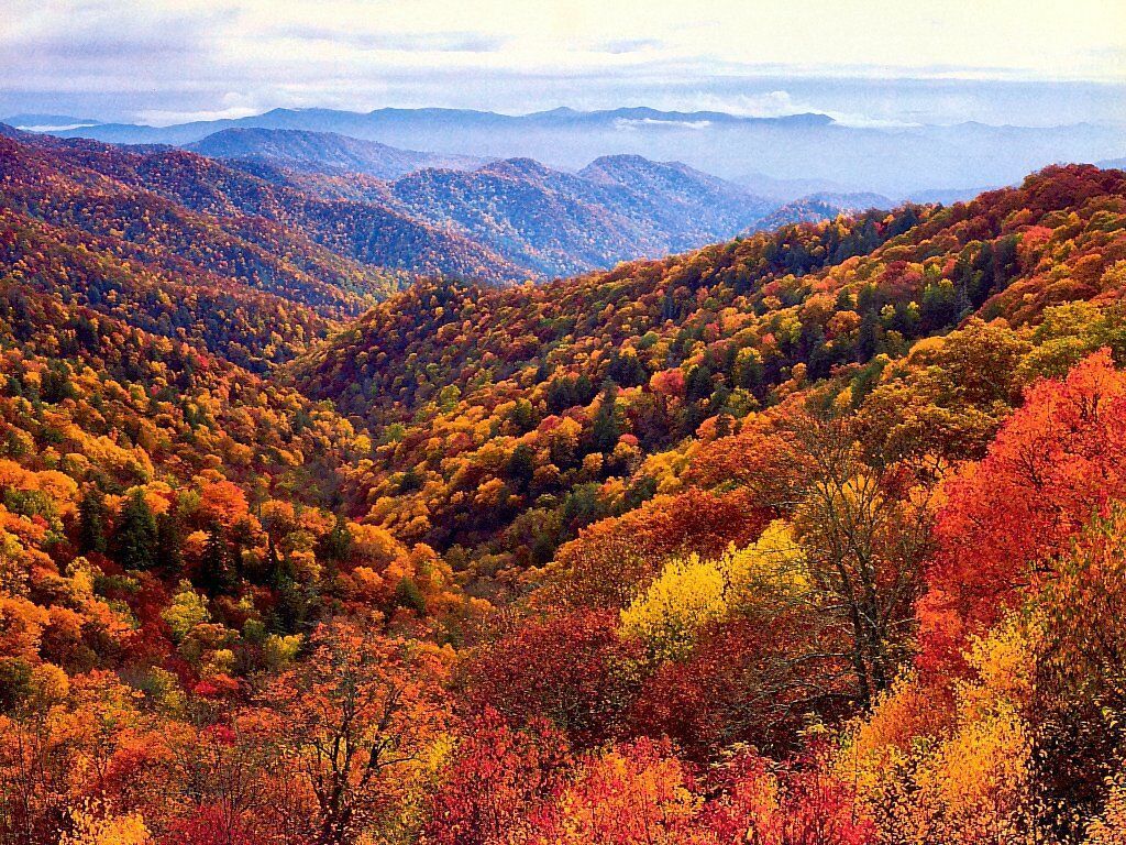 Montagne Smoky in autunno, 1024x768 HD, PC