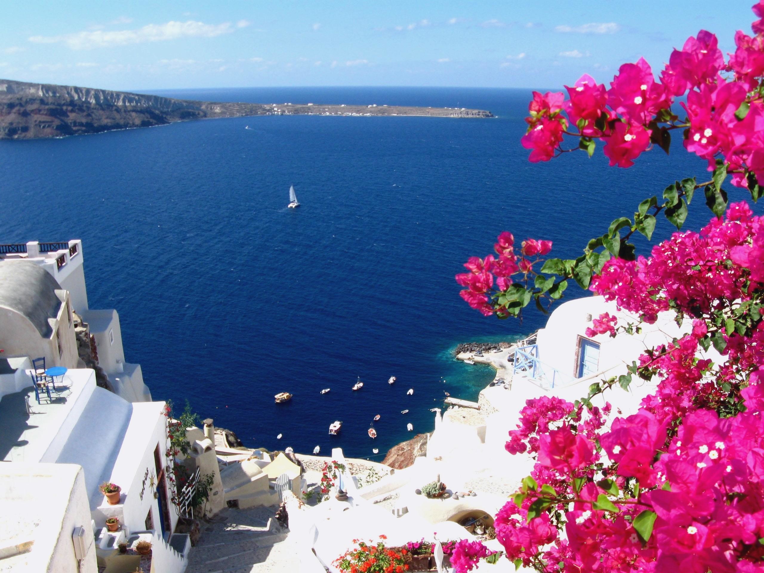 Santorini vista mare fiori, 2560x1920 2K, Monitor Gaming