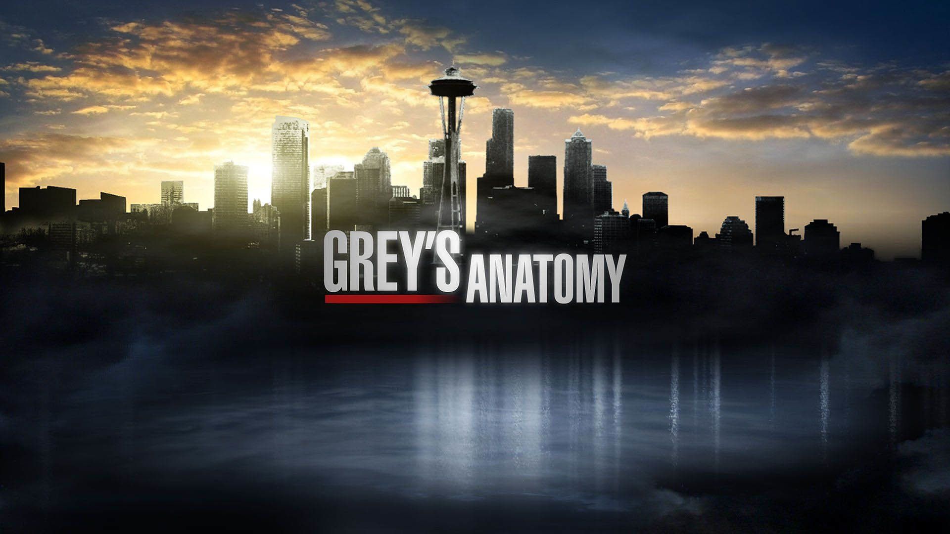 Logo Grey's Anatomy skyline Seattle, serie TV medica, 1920x1080 1080p, PC Desktop
