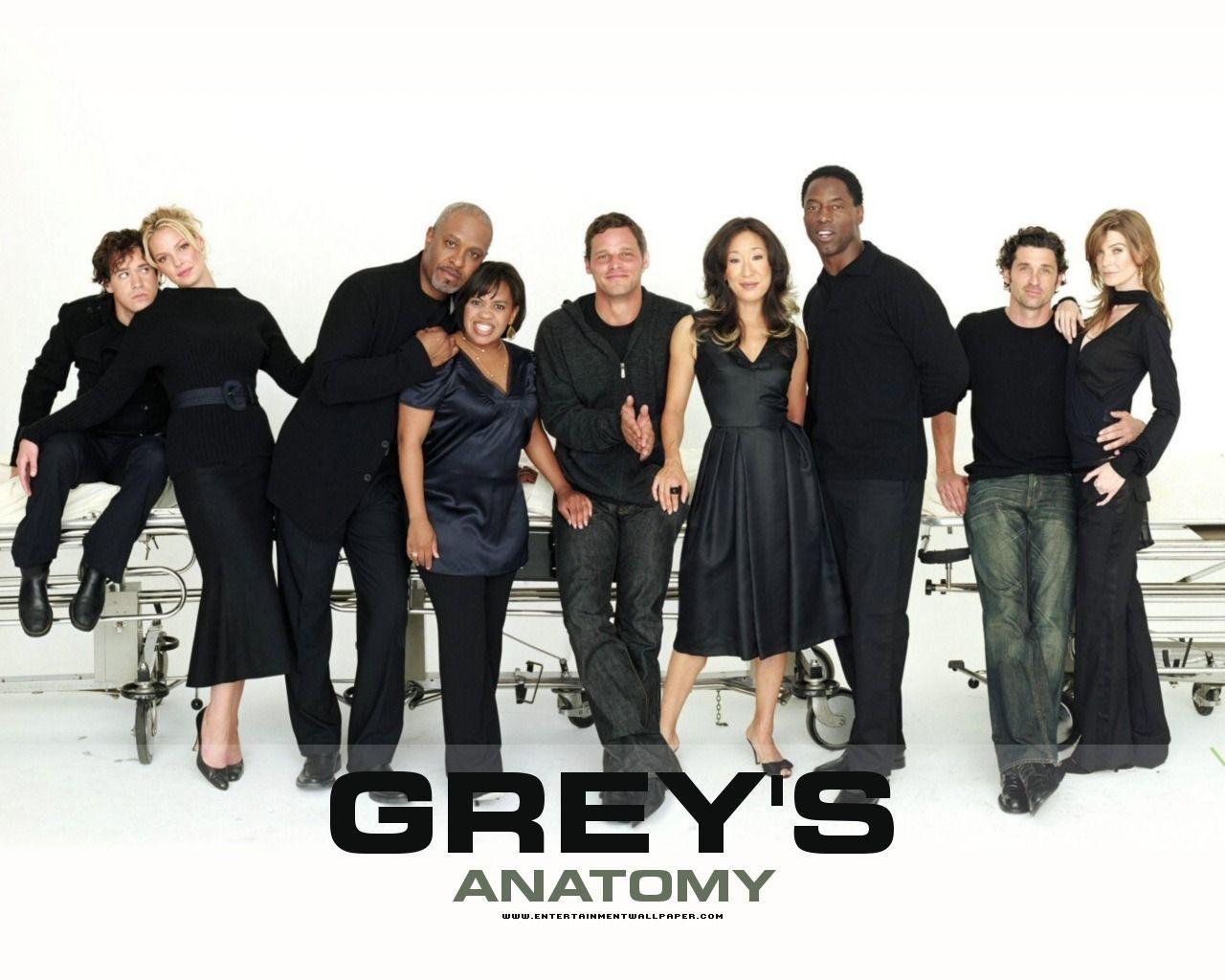 Cast Grey's Anatomy in nero, 1280x1024 720p, Monitor Gaming