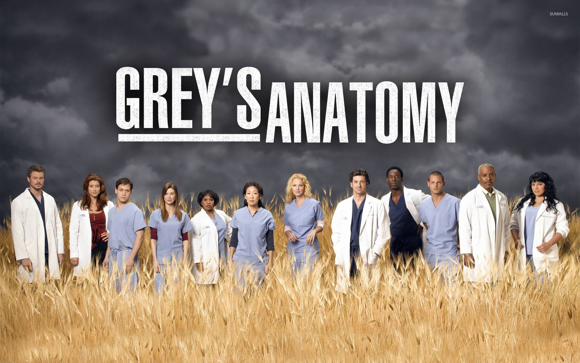 Cast Grey's Anatomy in campo, 1920x1200 Full HD+ WUXGA, Desktop