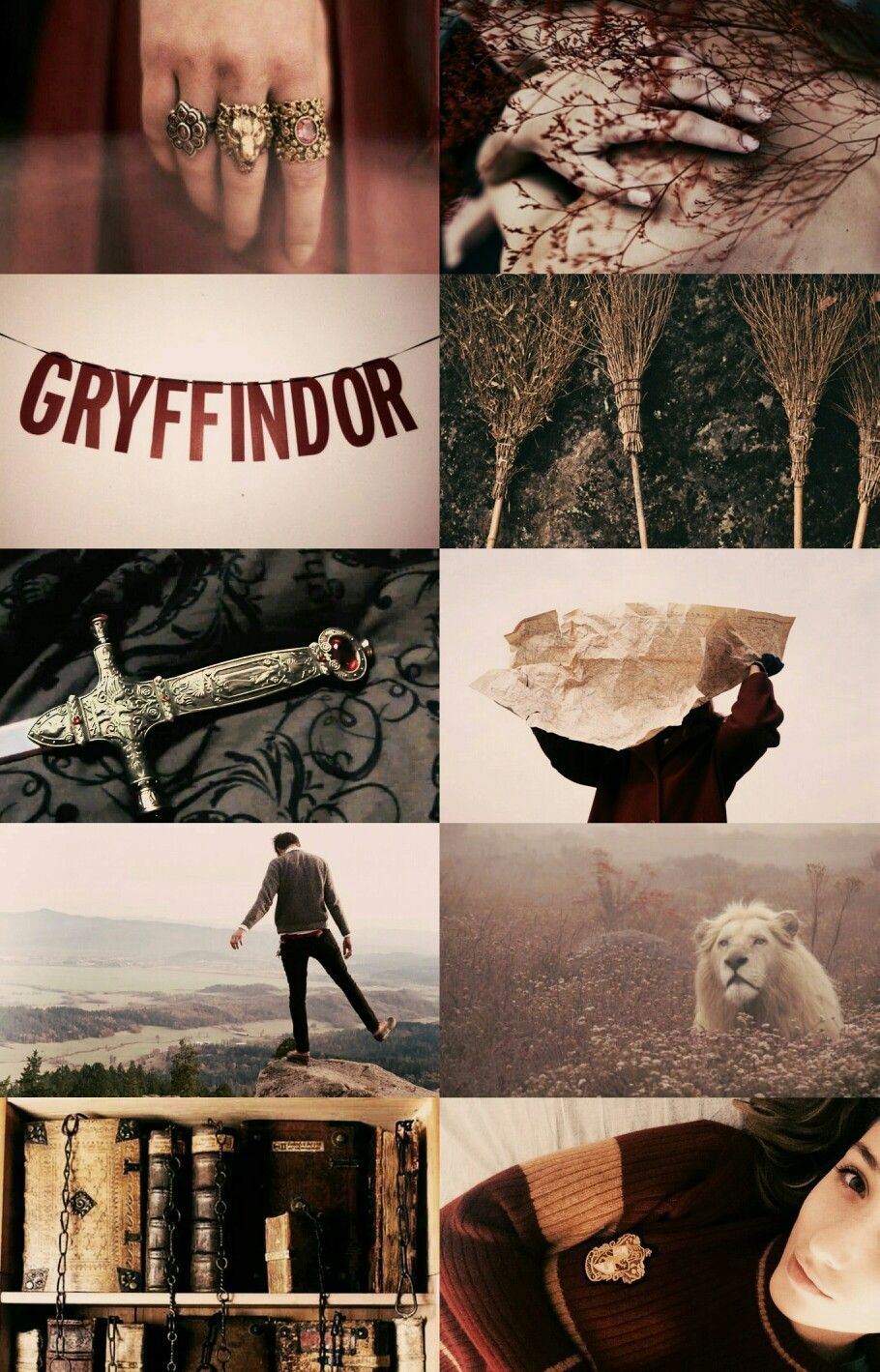 Stemma Grifondoro Harry Potter, J.K. Rowling, 1129x708 HD, Laptop